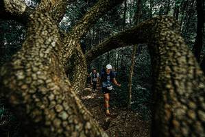 BIB: 
                            <button type="button" onclick="openModal(25701604)" class="btn btn-primary btn-sm float-right btn-popup" data-toggle="modal" data-target=".modal-high-quality">
                        <i class="fas fa-shopping-cart"></i> Add to Cart
                    </button>
                                            <button type="button" onclick="isThisMe(25701604, true)" class="btn btn-success btn-sm float-right btn-popup btn-isme hidden" data-toggle="tooltip" data-placement="bottom" title="นี่คือรูปของคุณใช่ไหม คลิกที่นี่เพื่อเอาเข้าอัลบั้ม">
                        <i class="fas fa-plus"></i> Add to album
                    </button>
                    <button type="button" onclick="isThisMe(25701604, false)" class="btn btn-warning btn-sm float-right btn-popup btn-isnotme hidden">
                        <i class="fas fa-ban"></i> Remove from album
                    </button>